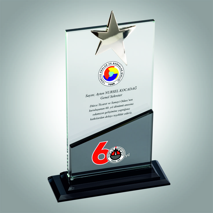 KRİSTAL PLAKET ESK 031